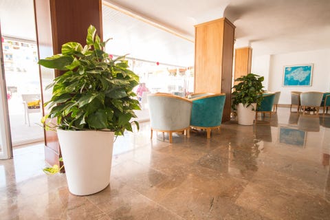 Hotel Amic Miraflores 8 av 10