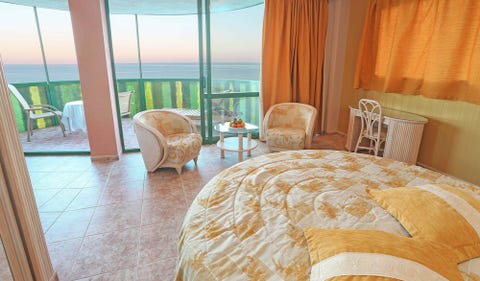 Kaktus Albir 10 av 10