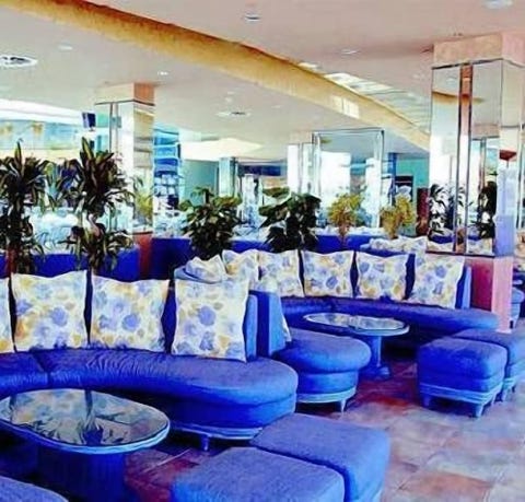 Kaktus Albir 8 av 10