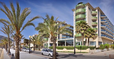 Kaktus Albir 5 av 10