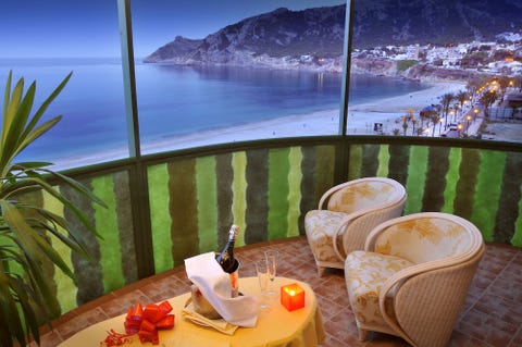 Kaktus Albir 6 av 10