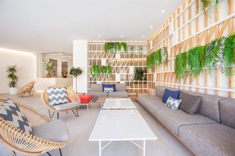 Grupotel Picafort Beach 4 av 10