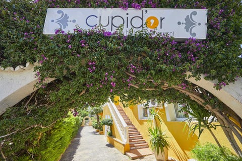 Hotel Cupidor 4 av 10