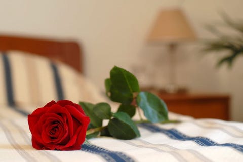 Hotel Rosina 5 av 32