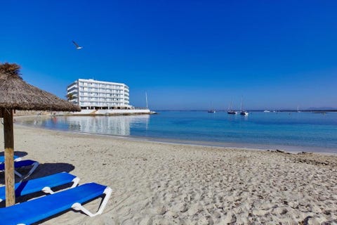 Universal Hotel Marques 5 av 10