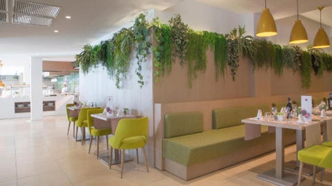 Hotel JS Alcudi Mar 6 av 17