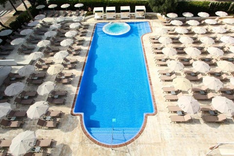Sentido Fido Tucan - Adults Only 9 av 9