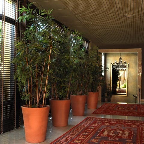Luna Club Hotel & Spa 4* Sup. 11 av 33