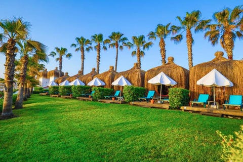 Crystal Flora Beach Resort - All Inclusive 8 av 8