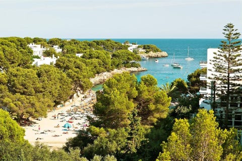 Sentido Fido Tucan - Adults Only 1 av 9