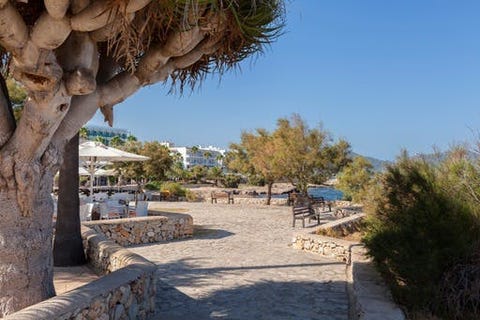 Cala Millor Garden Hotel - Adults Only 6 av 15