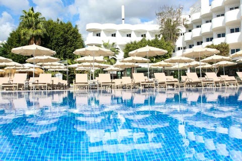 Sentido Fido Tucan - Adults Only 2 av 9