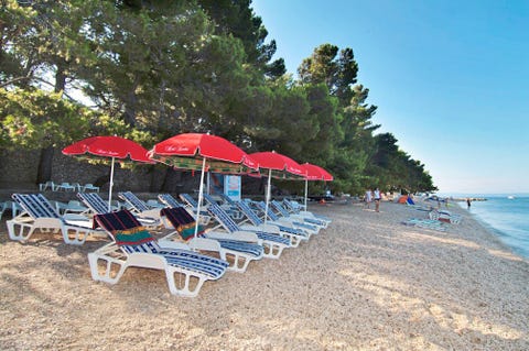Hotel Villa Bacchus 7 av 41