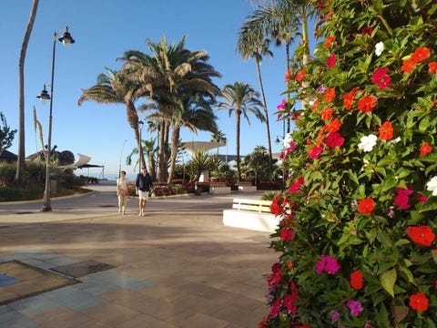 Hotel El Pilar Andalucia 14 av 36