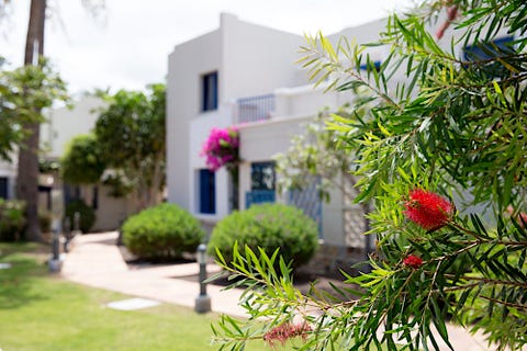TUI BLUE Village Playa Feliz 7 av 32