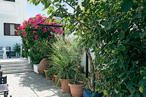 Lambros Hotel 11 av 11