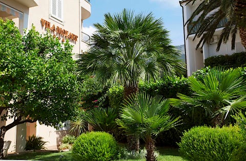 Villa Mozart 5 av 14