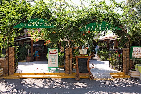 Telchinia 12 av 16