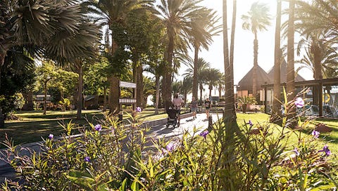 TUI BLUE Village Orquidea 4 av 40