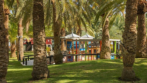 TUI BLUE Village Orquidea 19 av 40