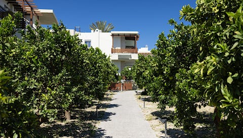 Ilyssion Holidays Apartments & Studios 3 av 27