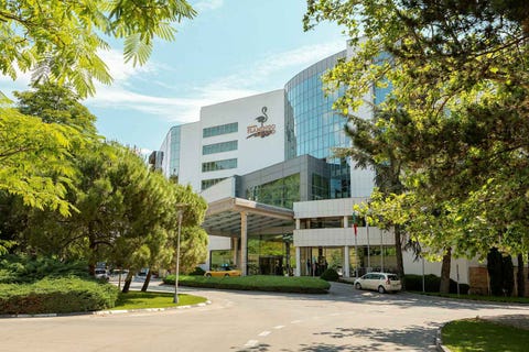 Flamingo Grand 16 av 25