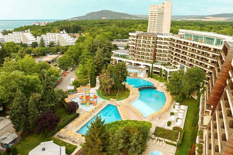 Flamingo Grand 1 av 25