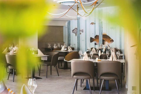 Grifid Hotel Vistamar - Ultra All Inclusive 14 av 50