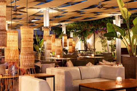 Napa Plaza Hotel - Adults only 14 av 32
