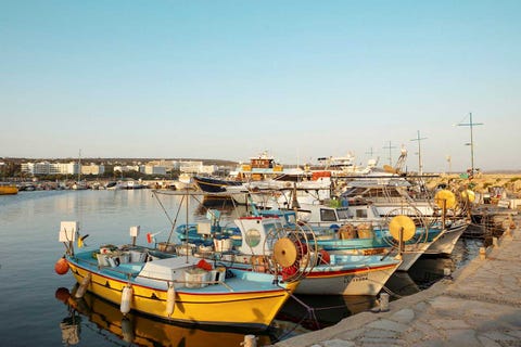 Limanaki Beach Hotel 23 av 31
