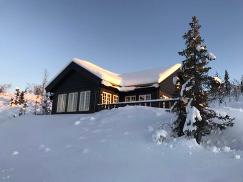 NYSTØLEN/NESFJELLET-Hytte til leie i fantastisk ski- og turterreng