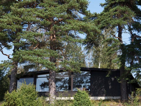 Vakker vestvendt perle med strandlinje på Jeløya til leie!