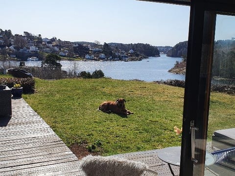 Flott villa ved sjøen i Arenda. Også ledig under Arendalsuka