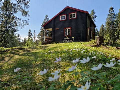 Hus/ Hytte til leie i Trondheim