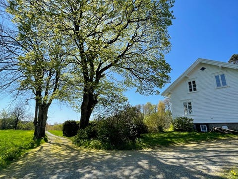 Koselig småbruk nær Lillesand sentrum