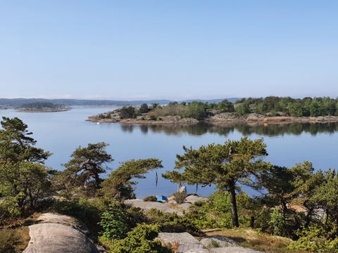 Koselig hytte med fantastisk utsikt