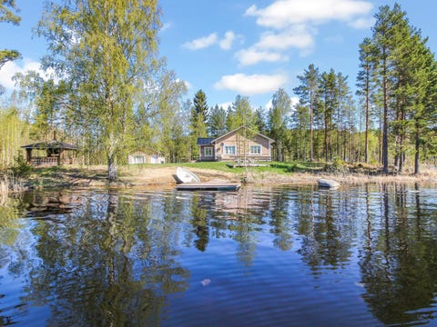 Villa niemi