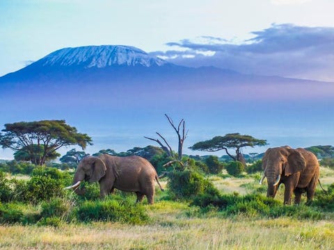 Kilimanjaro