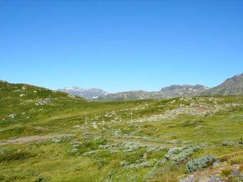 Feriehjem i Beitostølen