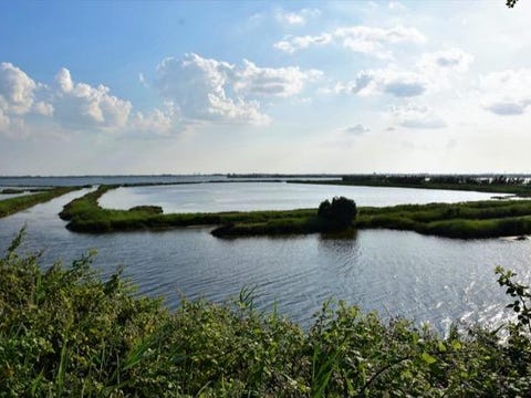 Feriehjem i Rosolina Mare