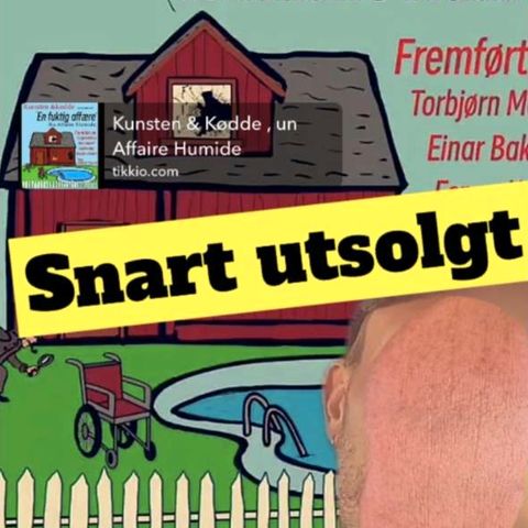 Annonsebilde