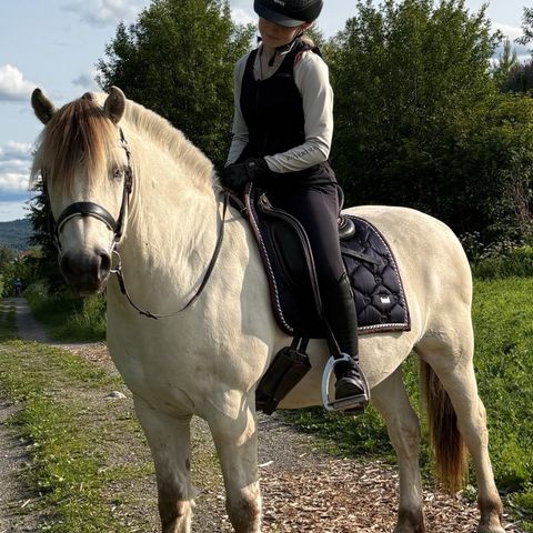 Annonsebilde