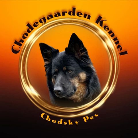 Annonsebilde