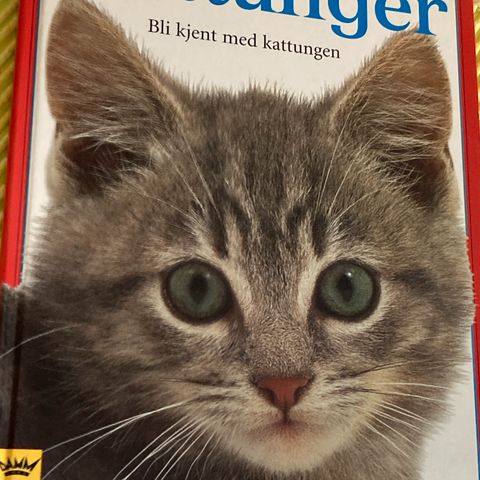 Annonsebilde
