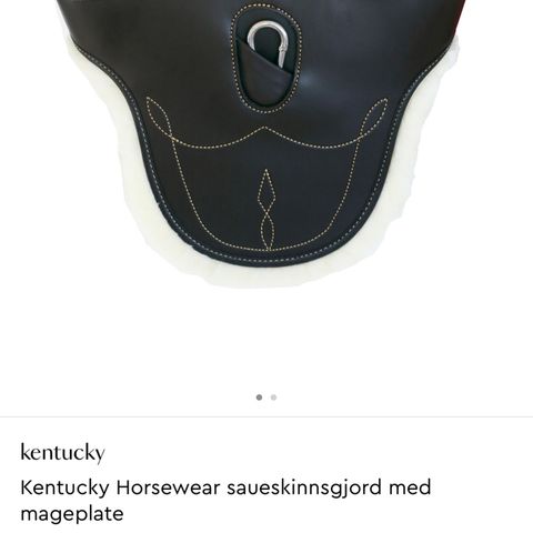 Annonsebilde