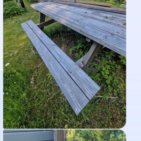 Annonsebilde