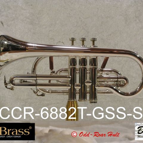 CarolBrass ® Bb kornett CCR-6882T-GSS-S