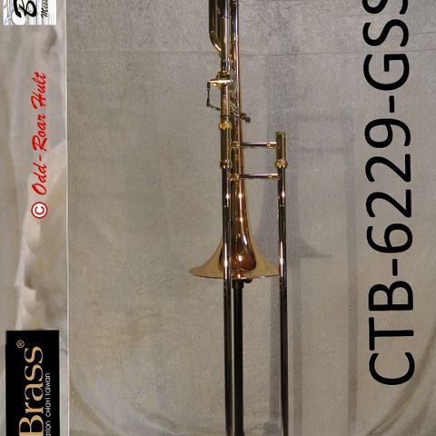 CarolBrass ® Trombone 6229GSS Bb/F