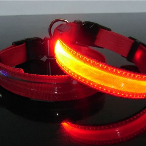 Hundehalsbånd m/LED lys. Rød