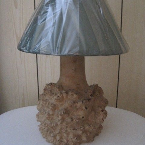 Bordlampe laget av ekte kåter.
